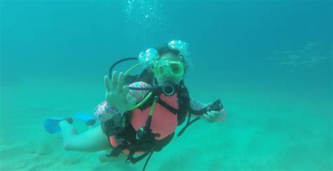 Baja Dive Cabo San Lucas All You Need To Know Before You Go