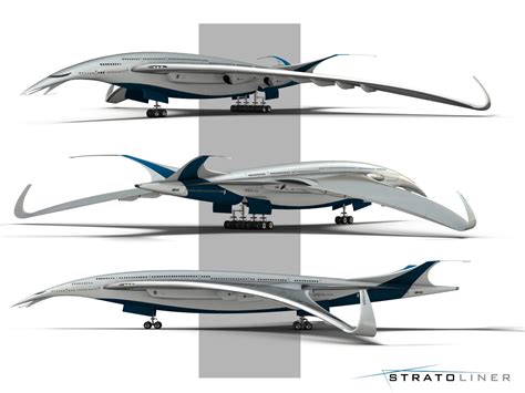 Lockheed Stratoliner Design Is Inspired By Bar Tailed Godwit Tuvie