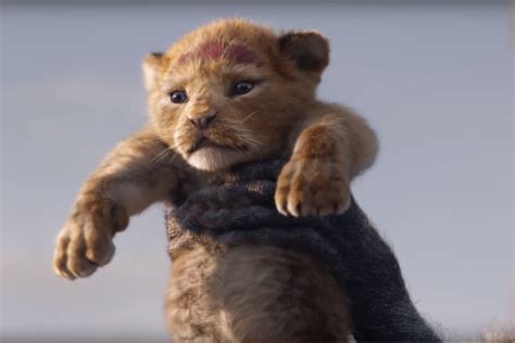 Video Le Roi Lion Au Cinéma En 2019 Découvrez La Bande Annonce De