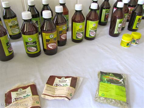 Rainforest Herbal Medicines In Ghana