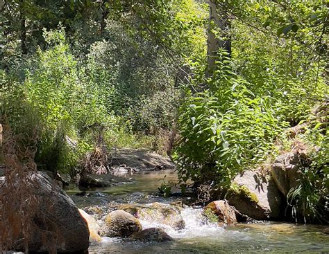 44804 Pine Flat Drive, California Hot Springs, CA 93207 | MLS #224633