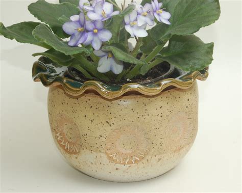 African Violet Flower Pots Flower Pot Perfect For African Violets Or