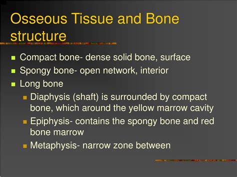 Ppt Osseous Tissue And The Skeletal System Powerpoint Presentation