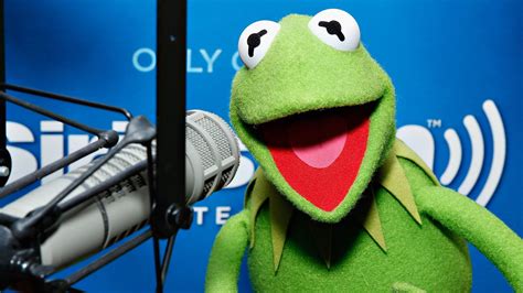 Kermit The Frog Is Against Scottish Independence Huffpost Uk Politics