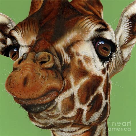 Giraffe Painting By Jurek Zamoyski Fine Art America