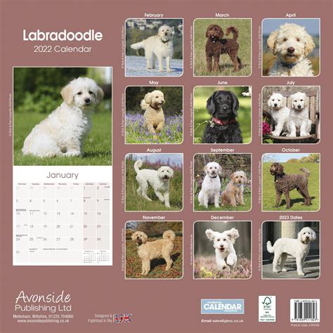 Rate Dogs Calendar Rois Nanete