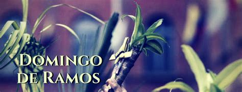 Para Reflexionar en Domingo de Ramos - Jesuitas
