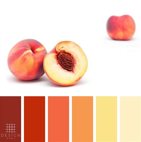 Peach Color Palette Peach Color Palettes Peach Paint Colors Peach