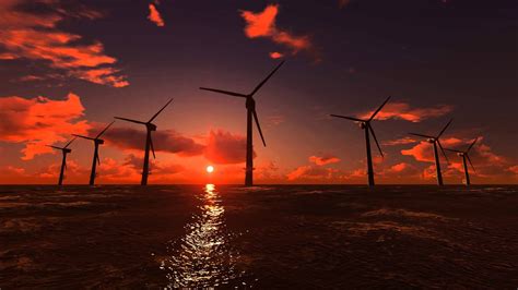 Offshore Wind Farm Sunset