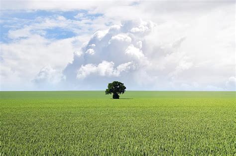 Blue Cloud Copy Space Countryside Environment Field Grass Green