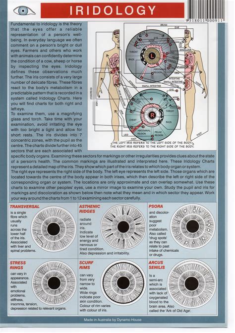 Iridology Chart For Eyes Page 2 Health Heal Eye Health Health Facts