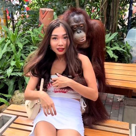 moment cheeky orangutan grabs woman s breast and kisses her as she poses for pic flipboard