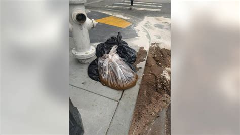 San Franciscos Homeless Crisis Looks A Lot Like New Yorks Future