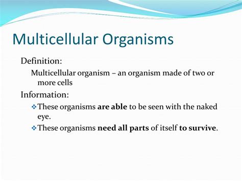 Ppt Types Of Organisms Powerpoint Presentation Free Download Id