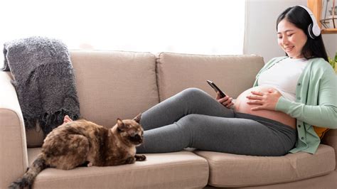 Myths Vs Facts Is Changing Cat Litter Safe During Pregnancy Boldsky Com