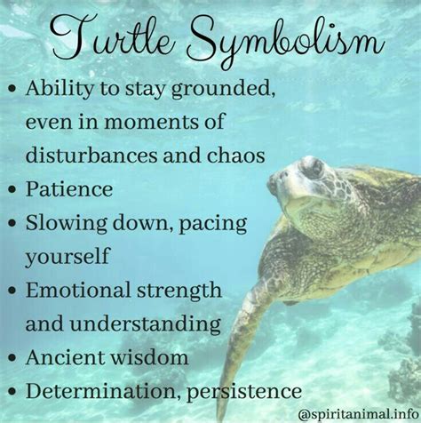 ️my Spirit Animal ️ Turtle Symbolism Turtle Quotes