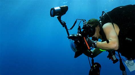 Beginners Guide To Underwater Photography 5 Steps To Get Started