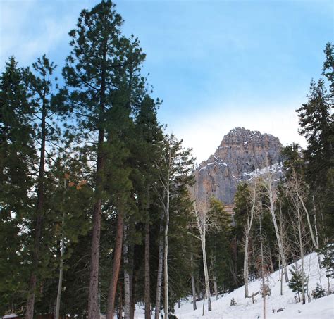 Mt. Charleston Lodge