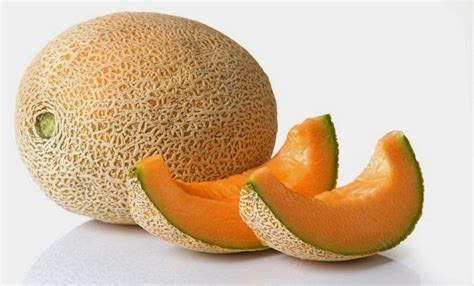 Melon22 art works or 晴れのちメロンソーダ. Cara Menanam Melon Yang Baik Dan Benar - Pusat Manual Agro