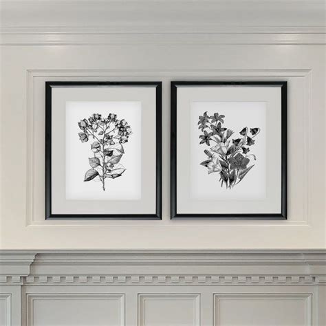 Ophelia And Co Botanical Black And White 2 Piece Framed Acrylic