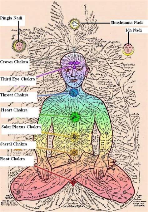 Article 200 Human Spirit Chakras Part 1 Energy Fields And Intro To