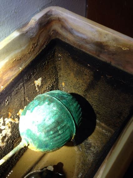 In many cases, these deposits will take the form of a slimy coating along the walls of the tank, which is relatively easy to clean. Iron Bacteria?? - Plumbing - DIY Home Improvement ...