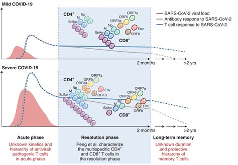 Inclusion Of Non Spike Proteins In Sars Cov 2 Vaccines May Be Important