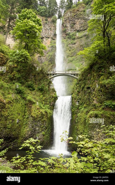 Multnomah Falls Oregon Usa Stock Photo Alamy