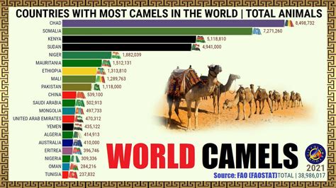 COUNTRIES WITH MOST CAMELS IN THE WORLD | TOTAL ANIMALS - YouTube