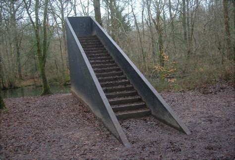 Stairs In The Woods Phenomenon Found In National Forest Complete Detail