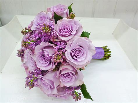 Picture Bouquets Rose Violet Lilac Flowers White Background