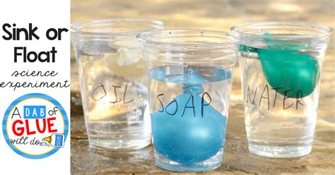 Sink Or Float Science Experiment Science Experiments Sink Or Float