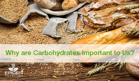 They help in the process of recycling of nutrient by decomposing various dead organisms such as plants and animals to form humus. Why are Carbohydrates Important to Us? - Epigen Nutrition