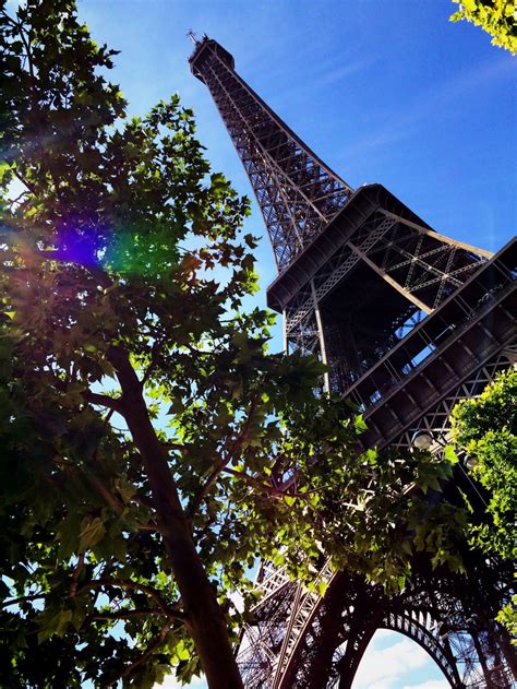 無料画像 建築 構造 空 太陽光 葉 花 エッフェル塔 超高層ビル 都市景観 ヨーロッパ 反射 タワー