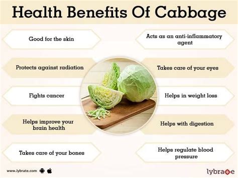 Pin By Maz Dave On Nutrition In 2020 Cabbage Health Benefits Cabbage