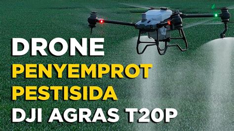 Drone Pertanian Dji Agras T20p Drone Penyemprot Pestisida Youtube