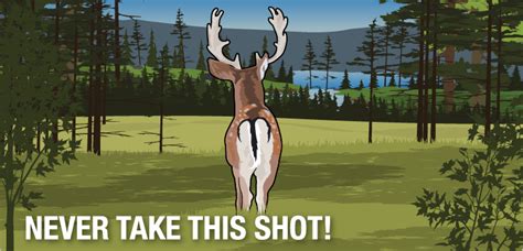 Ethical Shot Placement Using Firearms And Bows