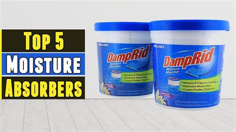 The 5 Best Moisture Absorbers 2021 Youtube