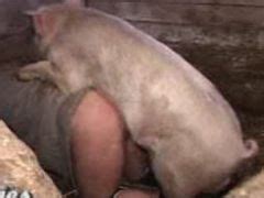 Cerdo Tiene Sexo Anal Con Una Mujer Porno Bizarro Sexo Extremo