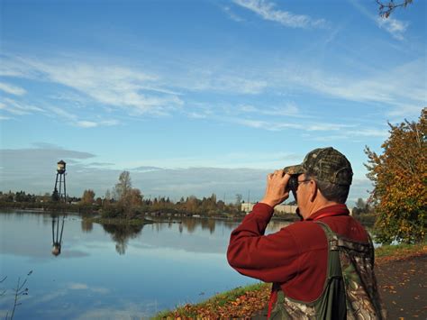 Cascade Ramblings Birding At Cheadle Lake