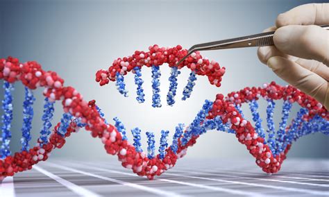 Crispr Cas Researchers Create New Gene Editing System