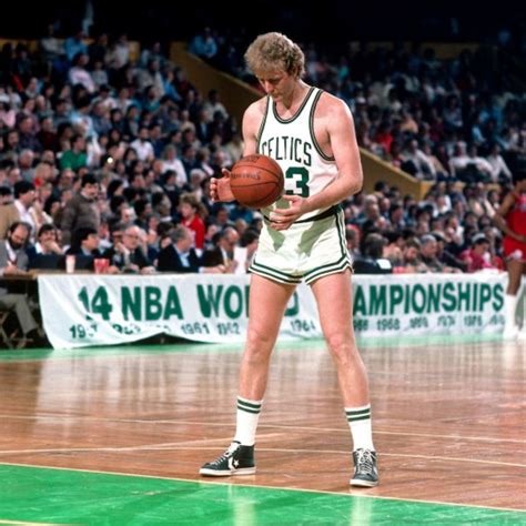 Larry Bird Photo Gallery ~ Larry Bird Nba Dominate Would Today