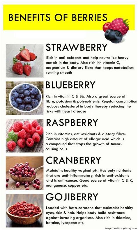 9 Reasons Why Berries Are The Healthiest Food To Eat When Dieting