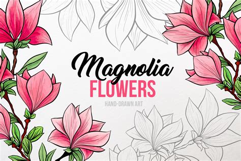 Magnolia Flowers Hand Drawn Art Graphic By Ilonittar · Creative Fabrica