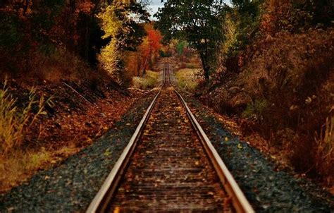 Tracks Fall Pictures Railroad Tracks Track