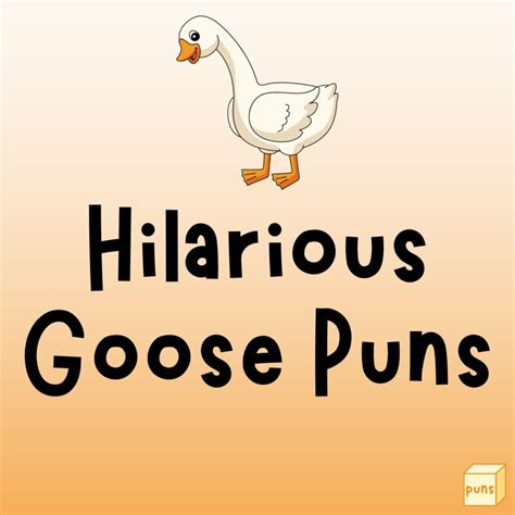 55 Funny Goose Puns To Make You Honk With Laughter Box Of Puns