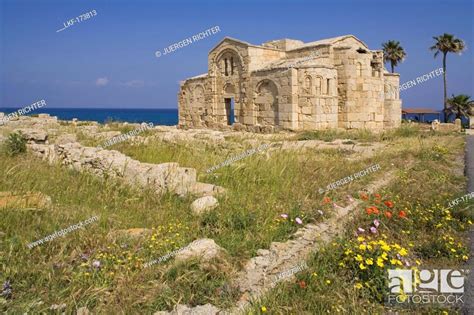 Agios Filon Church Ruins With Palm Tree Dikarpaz Rizokarpaso