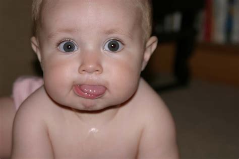 Reddit gives you the best of the internet in one place. Newborn and mouth and throat development | Dysphagia Cafe