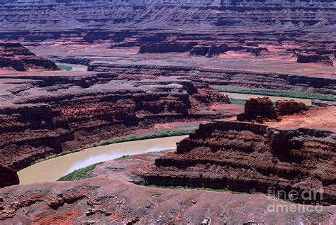 muddy colorado river through canyonlands national park photograph by wernher krutein fine art