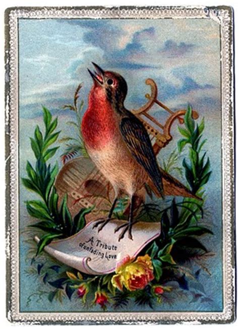 vintage clip art amazing bird card robin